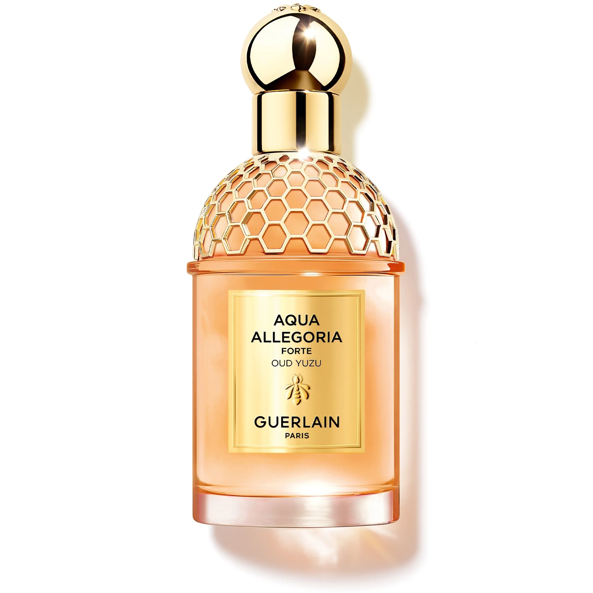 Aqua Allegoria Oud Yuzu Forte - parfemska voda