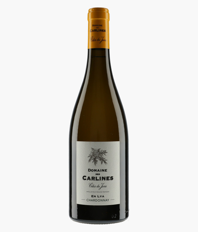 Côte du Jura En Lya 2017CARLINES
