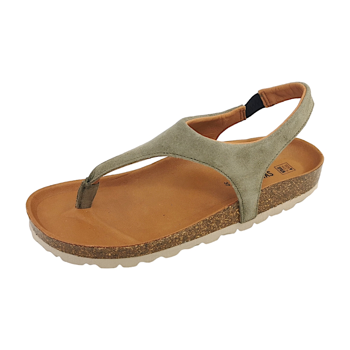 Verbenas Reagan 3301090001 Grün Khaki