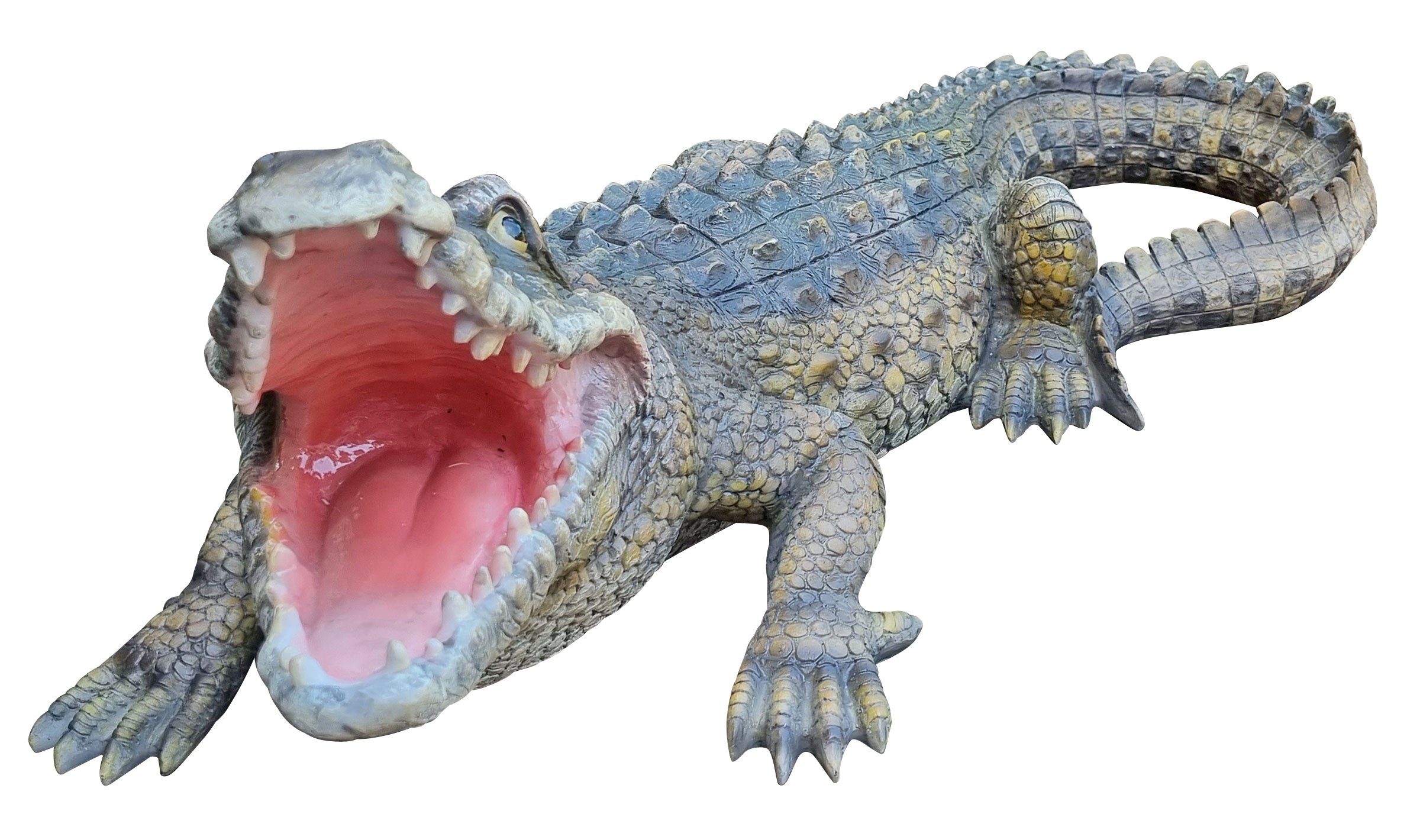 Fachhandel Plus Gartenfigur Krokodil Ansgar, (1 St), lebensechte Garten-Dekofigur