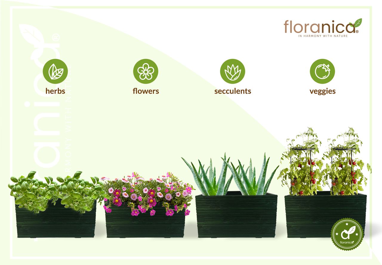 Pemicont Floranica Blumentopf aus Holz Kasten 50cm x 335cm x 285cm Grün Imprägnierte Lärche Schutzhülle für Kräuter Blumen Haus- und Gartendekoration Innen- und Außeneinsatz EU-Produkt