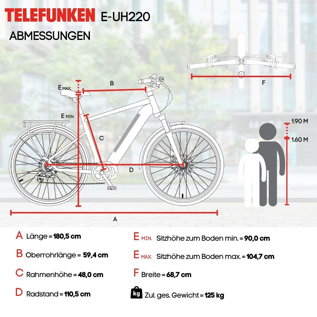 Telefunken Urban E-Bike Herren UH220 28 Zoll Hinterradmotor Automatikschaltung