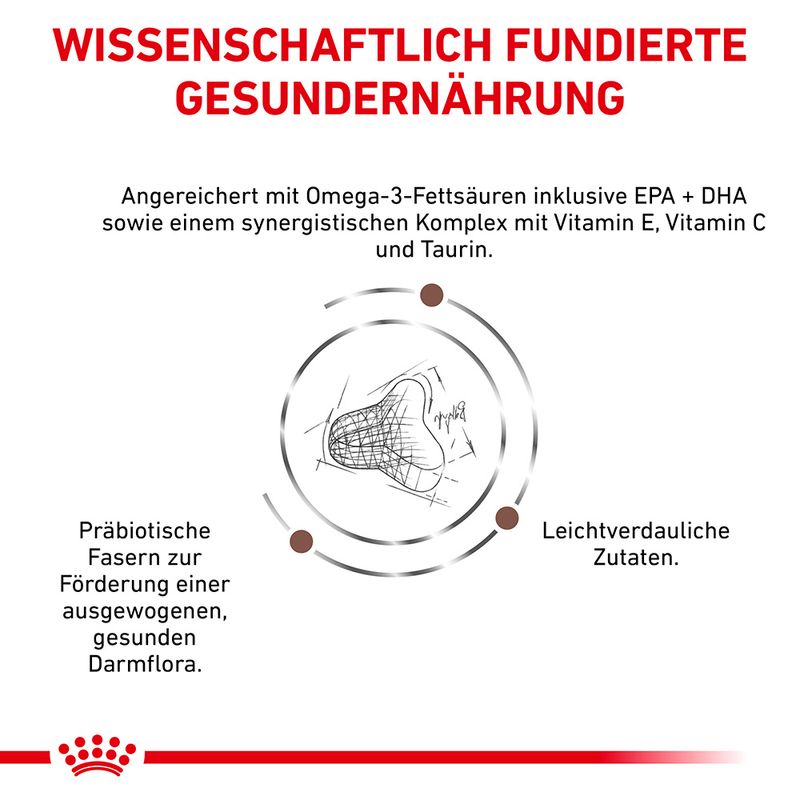 Royal Canin Expert Feline Gastrointestinal Fibre Response | bitiba