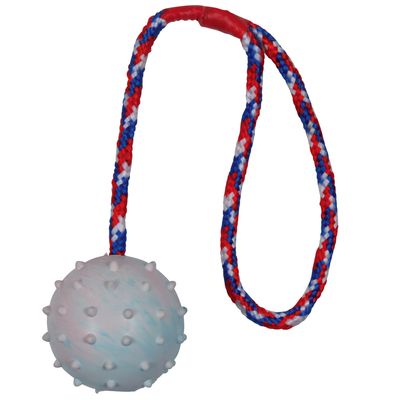 Trixie Hundespielzeug Gummiball mit Schnur