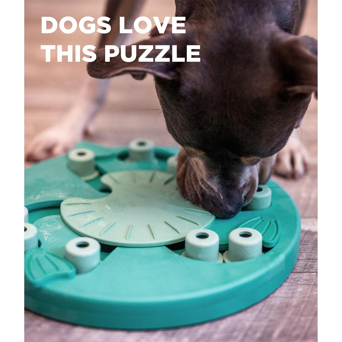 Dog Worker - Composite Intelligenzspielzeug kaufen bei ZooRoyal