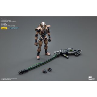 Warhammer 40k Actionfigur: Necrons - Szarekhan Dynasty Immortals with Tesla Carbine (2er-Pack)