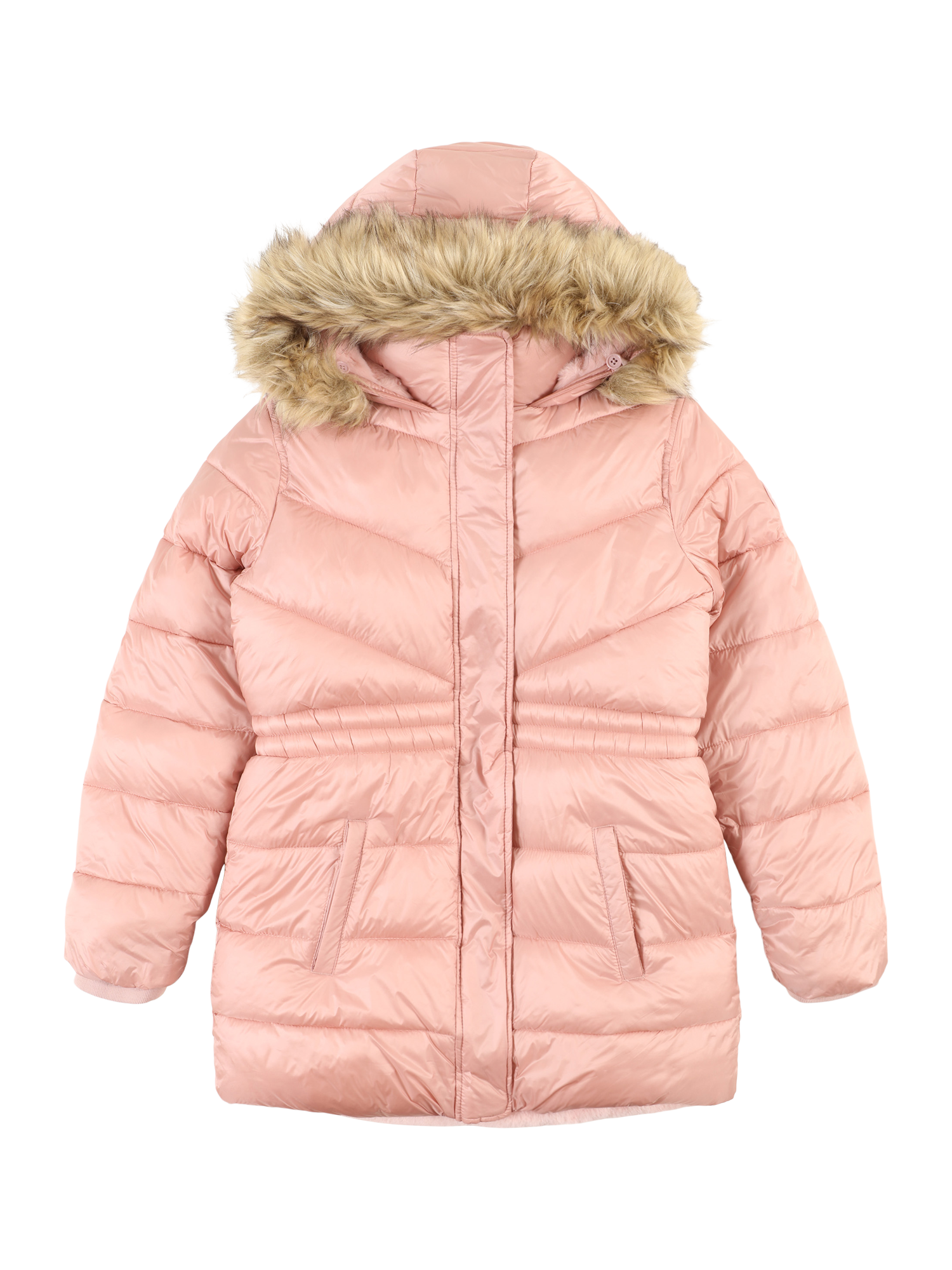 Winter Jacket