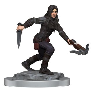 D&D Nolzur's Marvelous Miniatures Miniatur unbemalt Half-Elf Rogue Females (2)