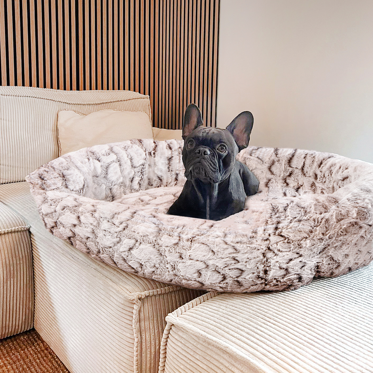Wallace & Jones Hundebetten Wallace & Jones Hundebett Cordo-Heaven S