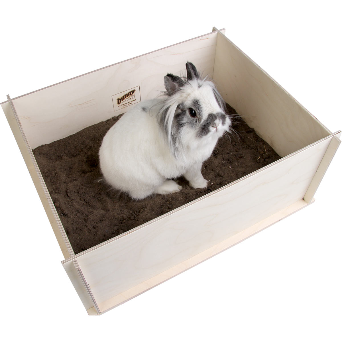 bunny Interactive Buddelkiste günstig kaufen