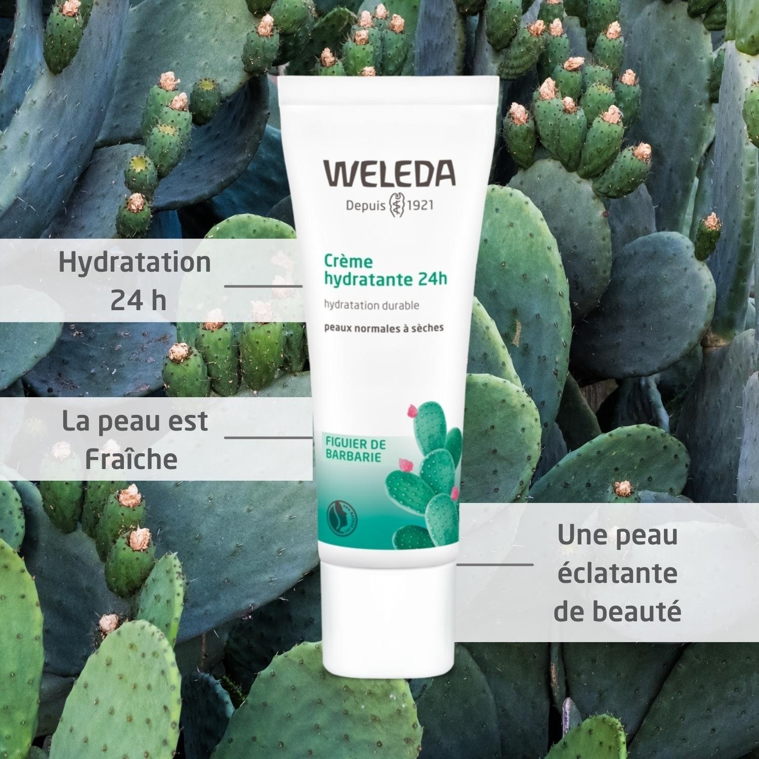 Weleda 24-satna hidratantna krema - 30 ml