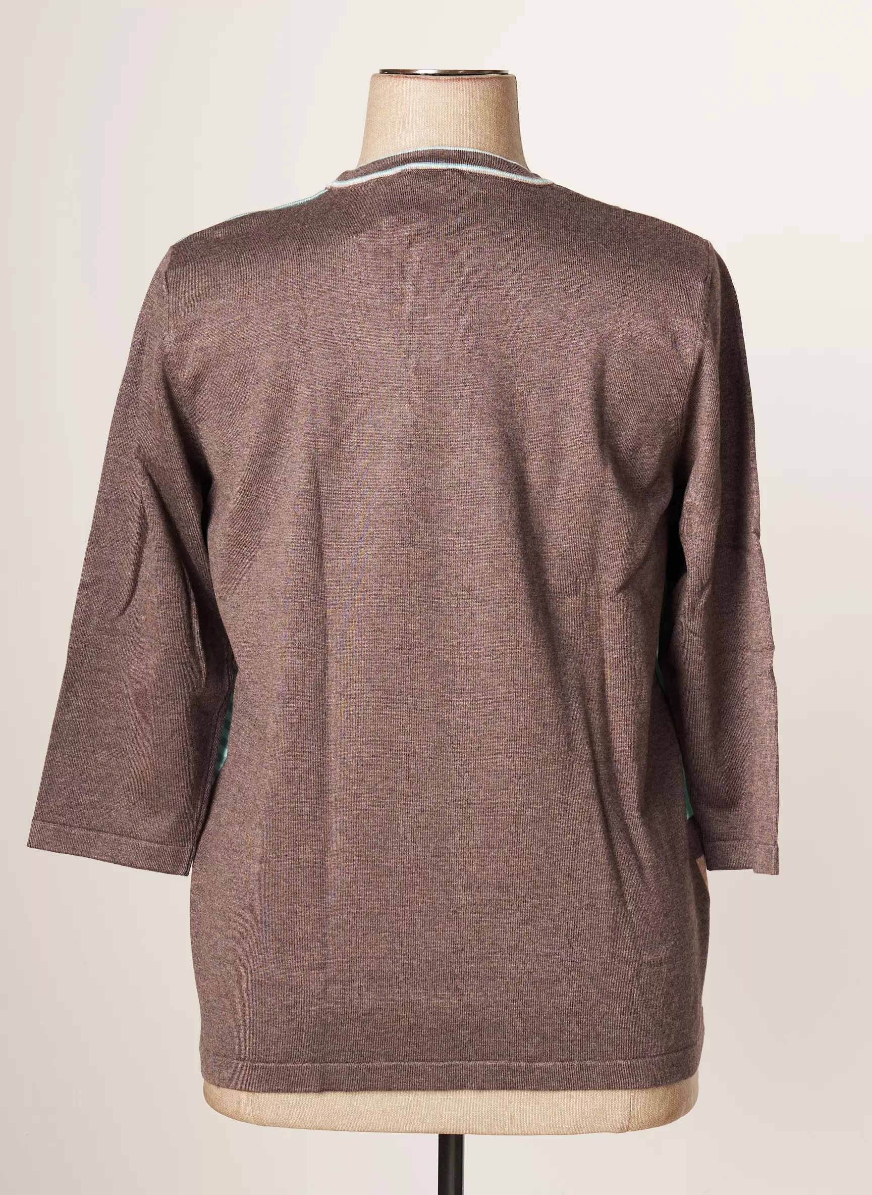 Rabe Pulls Femme couleur marron