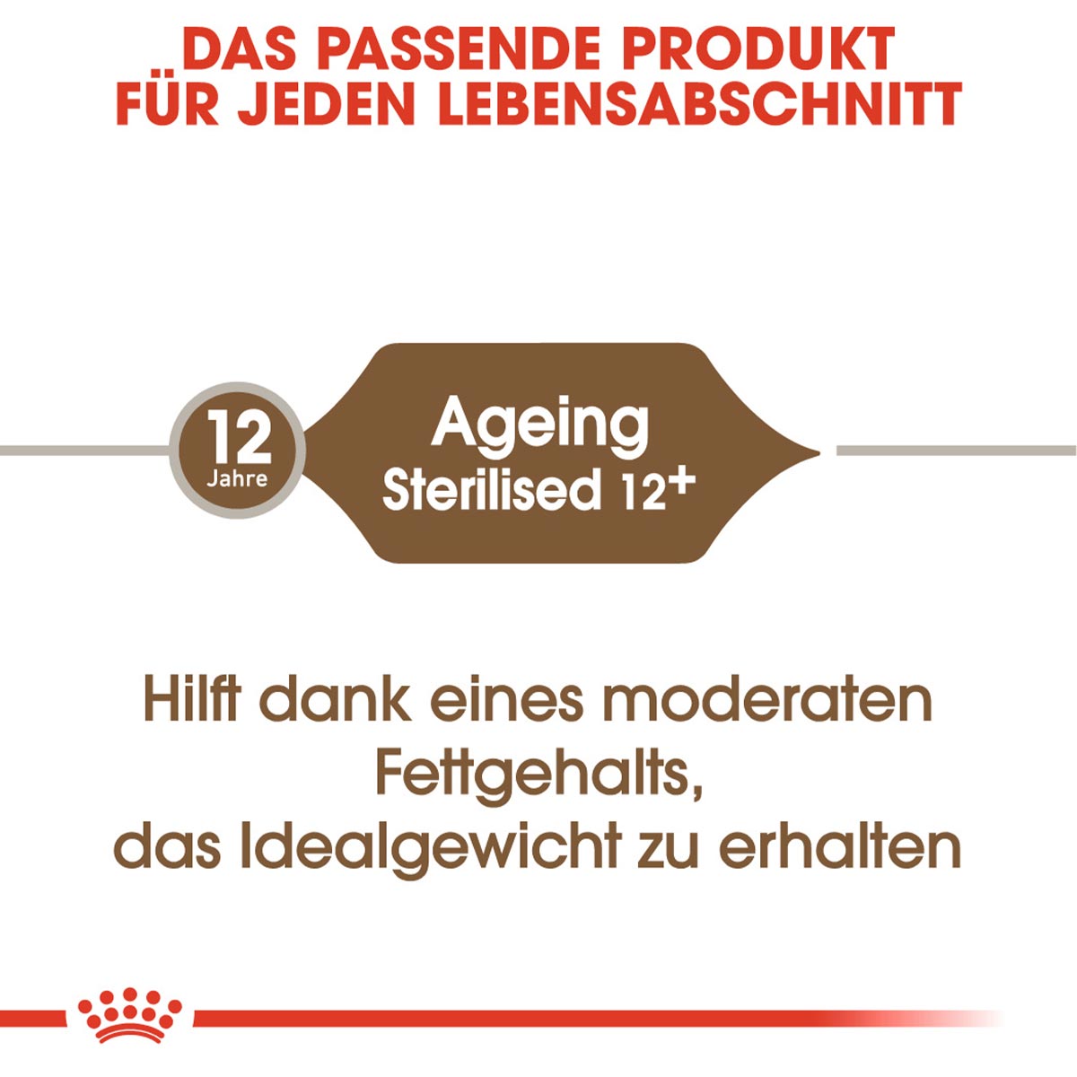 ROYAL CANIN AGEING 12+ Sterilised Trockenfutter für ältere kastrierte Katzen 4kg