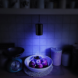 Gardigo LED Insektenfalle mobil inkl. Batterien