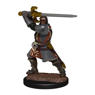 D&D Nolzur's Marvelous Miniatures - Human Paladin Male