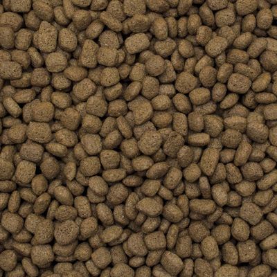 Tropidog Premium Junior Large Truthahn & Reis