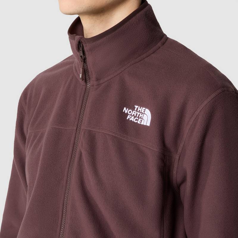 The North Face 100 GLACIER Fleecejacke Herren