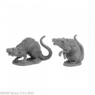 Barrow Rats (2)