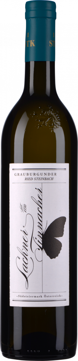 Lackner Tinnacher Grauburgunder Ried Steinbach Erste STK Lage 2022