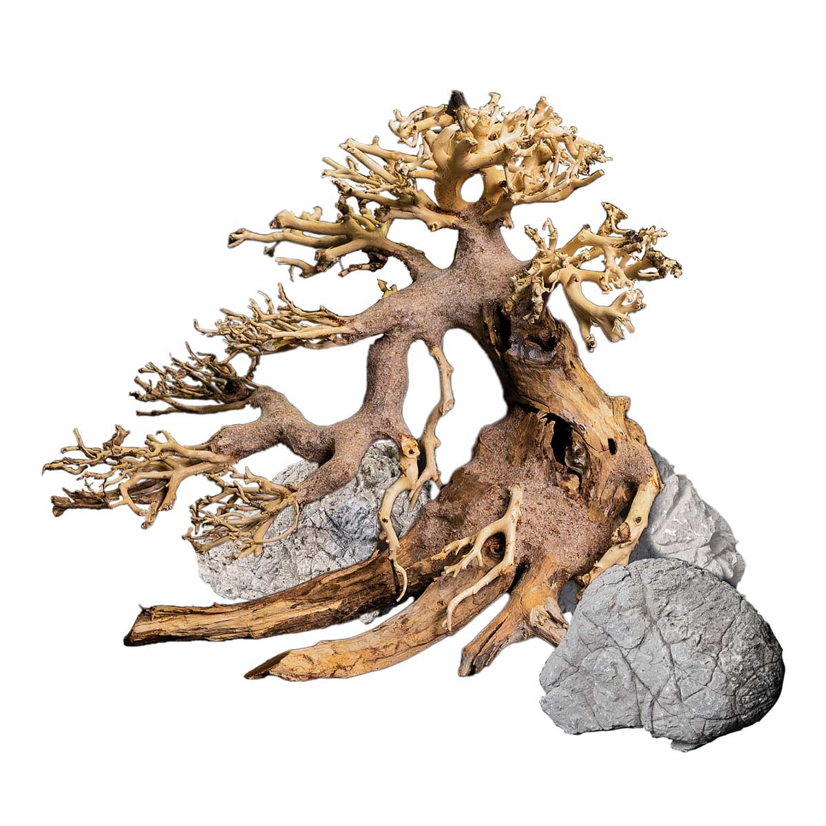 Dennerle Decor Box Bonsai günstig kaufen