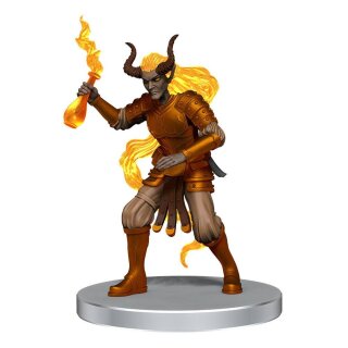 Pathfinder Battles Miniaturen: Impossible Lands - Masters of Magic Boxed Set (8) (pre-painted)