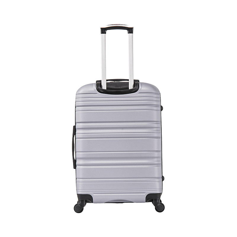 iGo Koffert 65,5 cm Grå, Lex