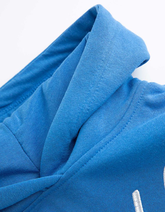 Hoodie - Stickereien