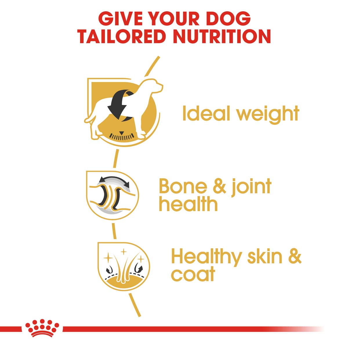 ROYAL CANIN Labrador Retriever Adult Hundefutter trocken
