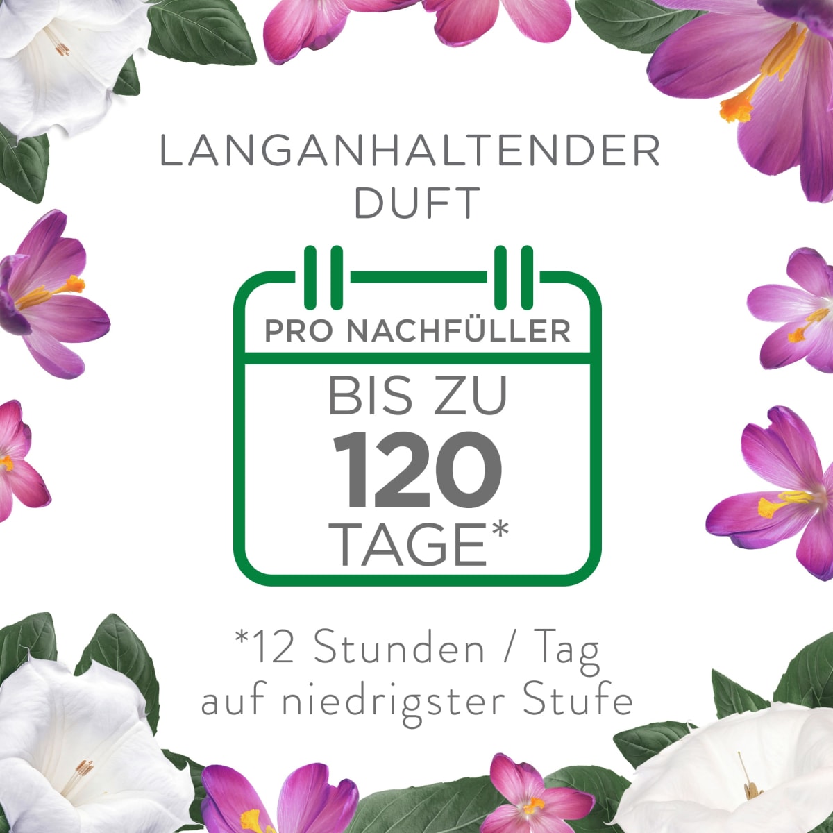 Lufterfrischer Duftstecker Seide & Lilienfrische Nachfüllpack, 19 ml