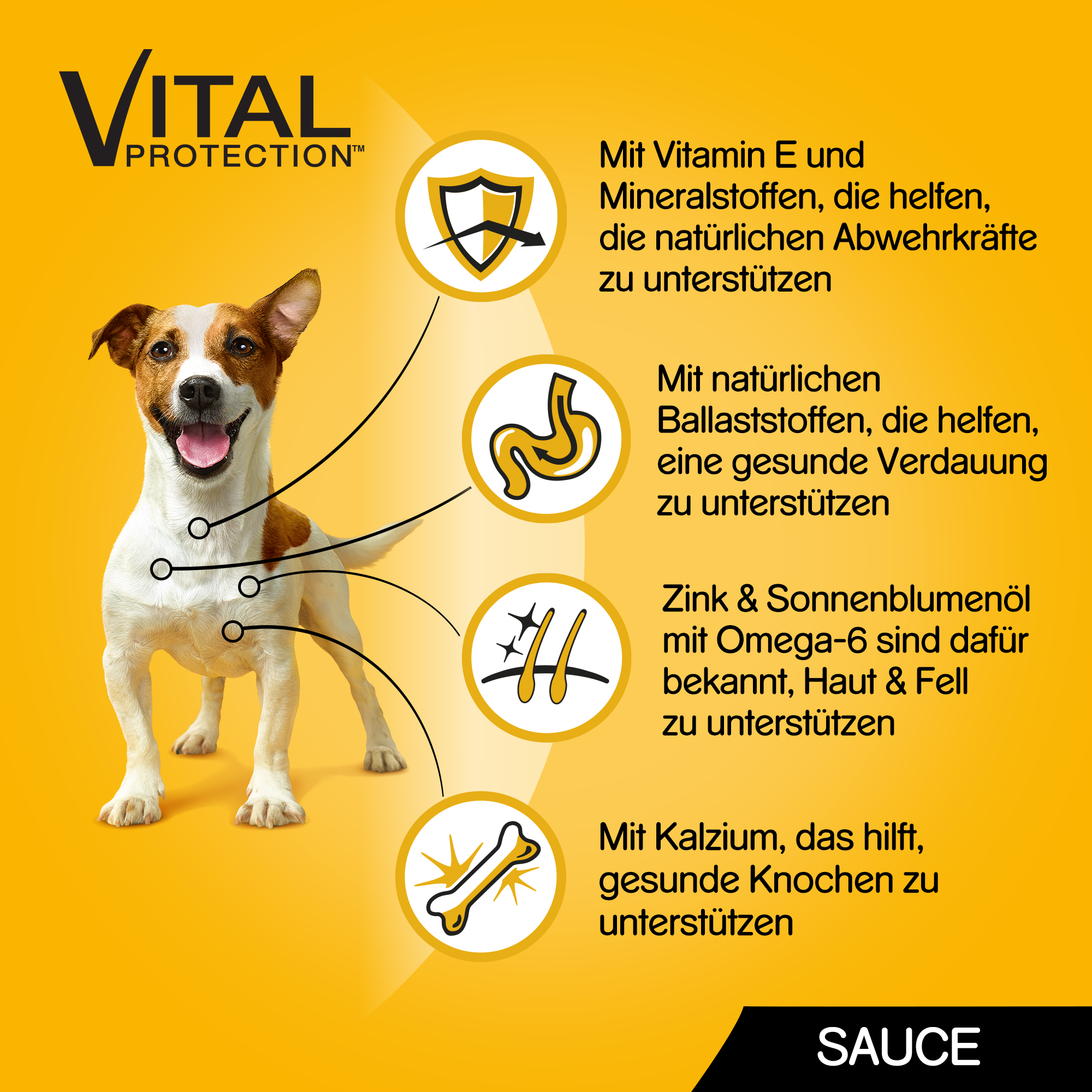 Pedigree Hundenassfutter Pedigree Vital Multipack Portionsbeutel in Sauce 40x100g