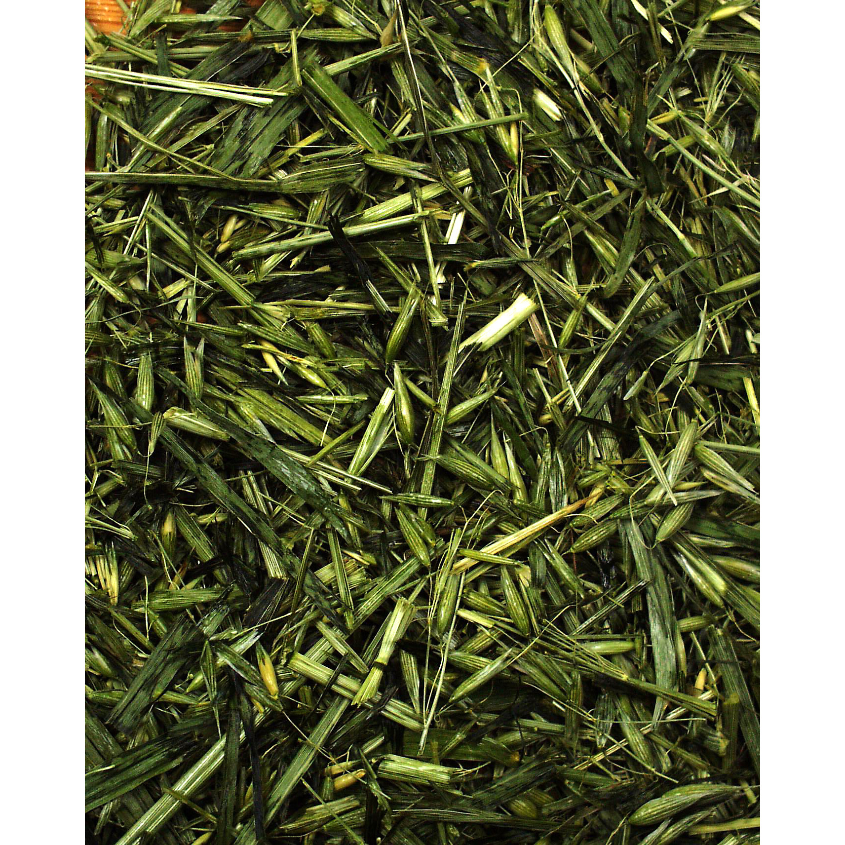 JR Farm Snacks JR Farm Grüner Hafer 500 g