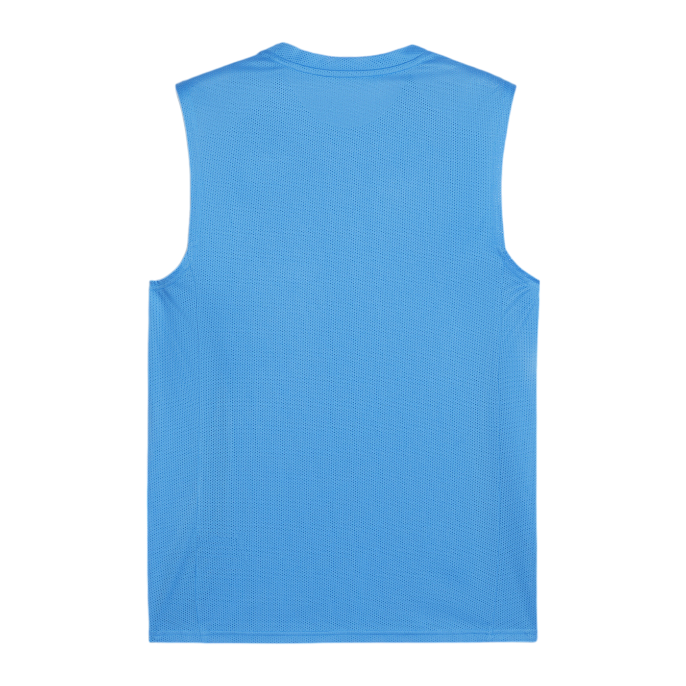PUMA teamGOAL Tanktop Blau Weiss F02