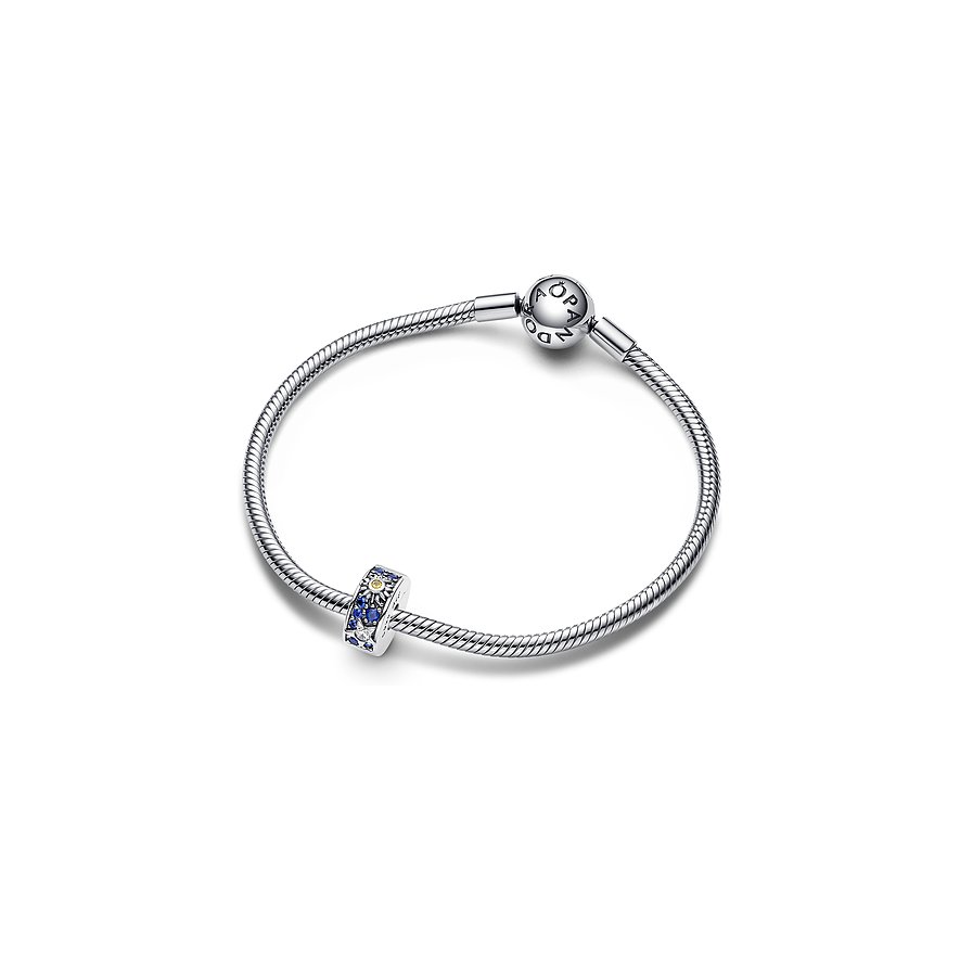 Pandora Charm Moments