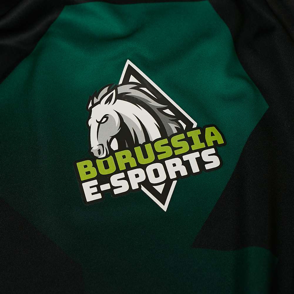 Borussia Mönchengladbach PUMA eSports Herren Trikot 768003-01