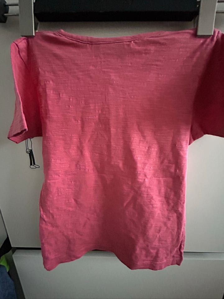 Little Green Radicals Shirt in Pink günstig kaufen 104