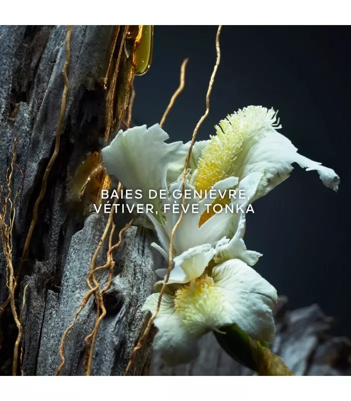 VETIVER Le Parfum vaporisateur