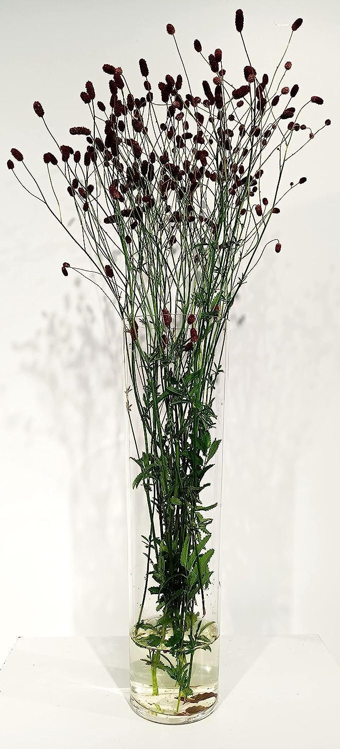 GlasArt Dekovase Glasvase Dekovase groß, konisch, Auswahl zwei Größen 40cm & 60cm hoch (1 St), aus Glas, geschliffener Rand