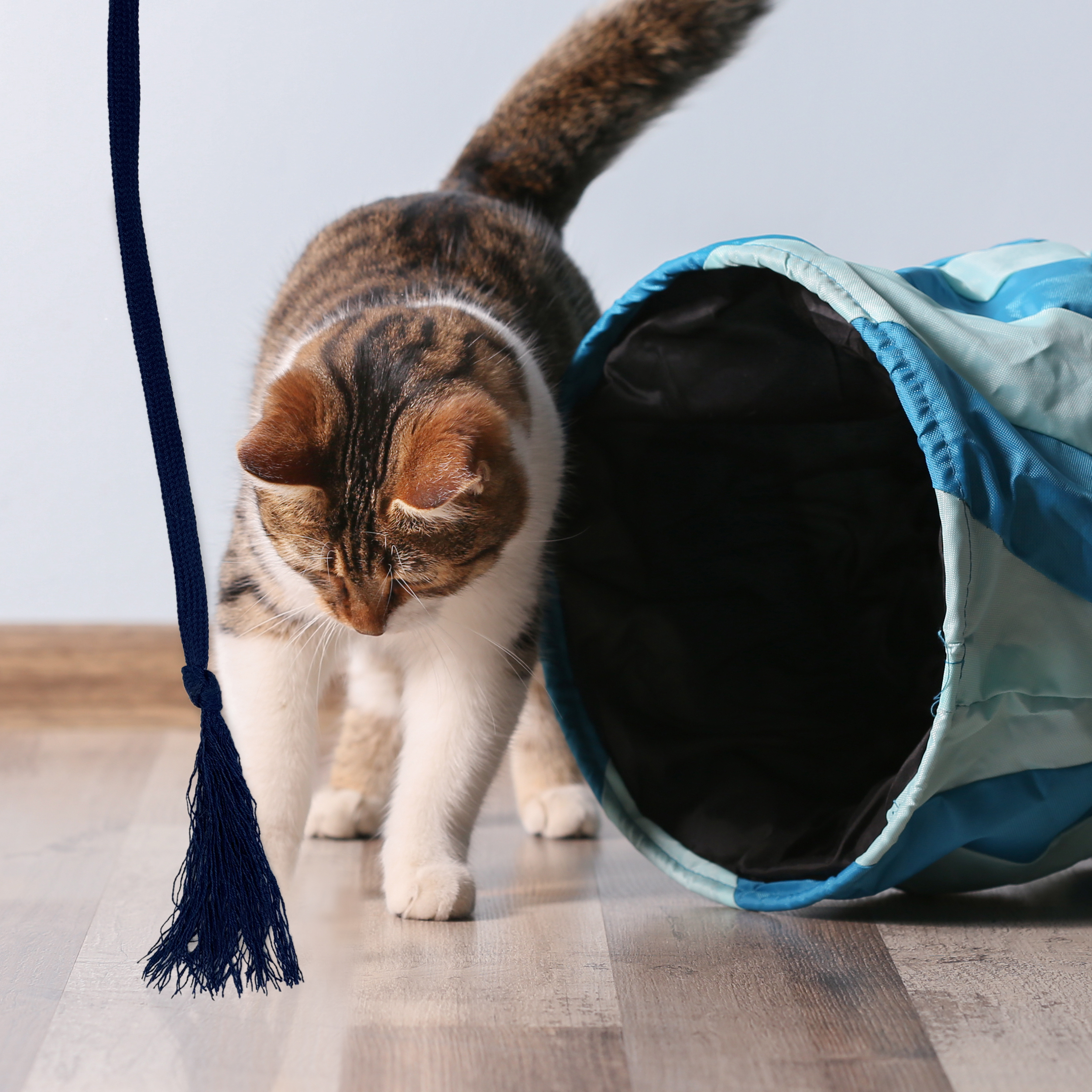 Kater Kasimir Katzenangeln Kater Kasimir Premium Katzenspielzeug aus Buchenholz mit Baumwollband (dunkelblau)