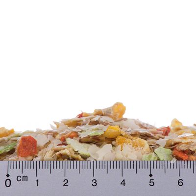 10 kg Rocco Flocken-Mix + 6 x 400g oder 800g Rocco Classic
