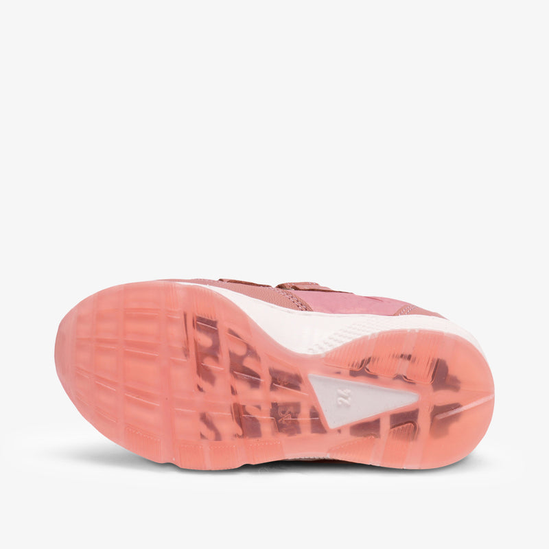 karla old rose - Rose
