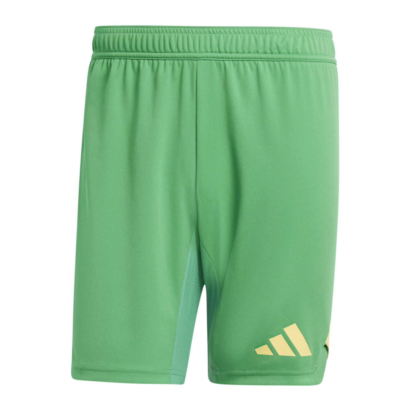 adidas Tiro 24 Pro Torwartshort Grün