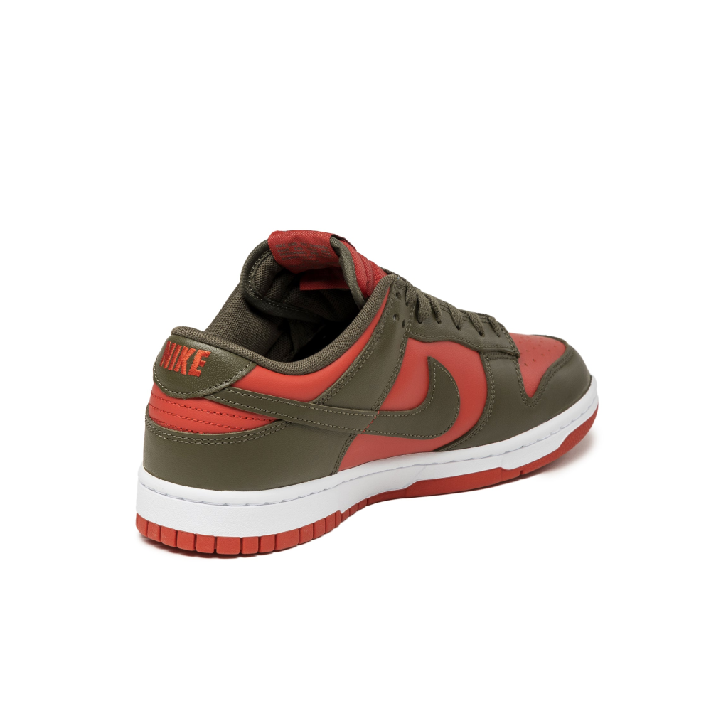 Nike Dunk Low Retro DV0833-600 / grün