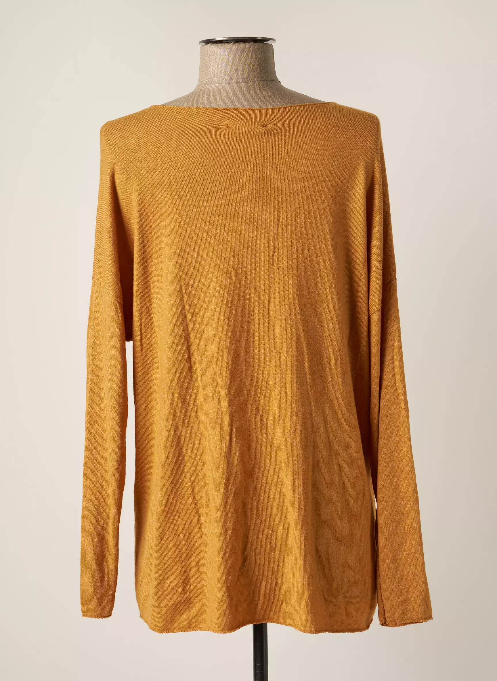 Andromede Pulls Femme couleur marron