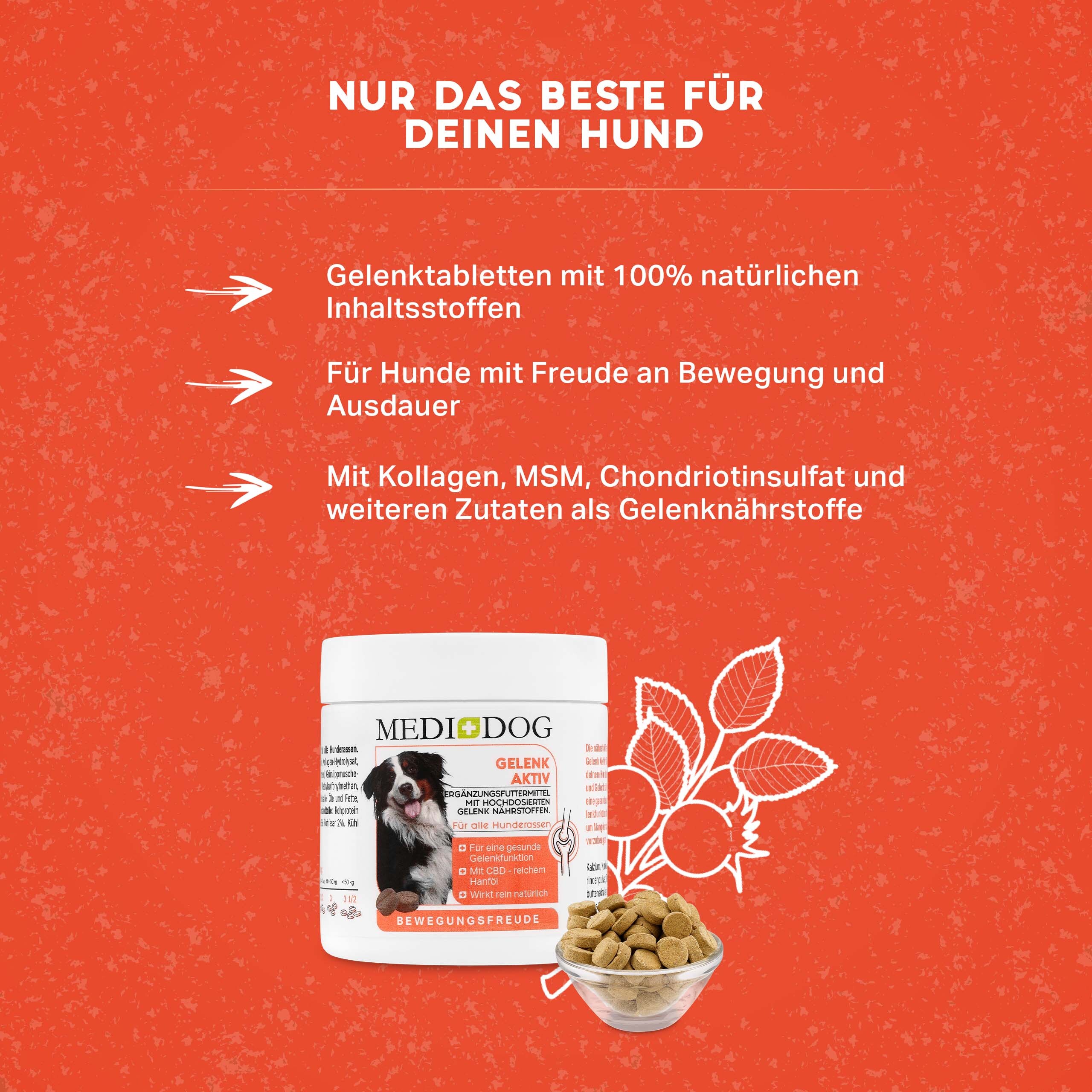 MediDog Ergänzungsfutter & Aufzucht MediDog Gelenk Aktiv Tabletten