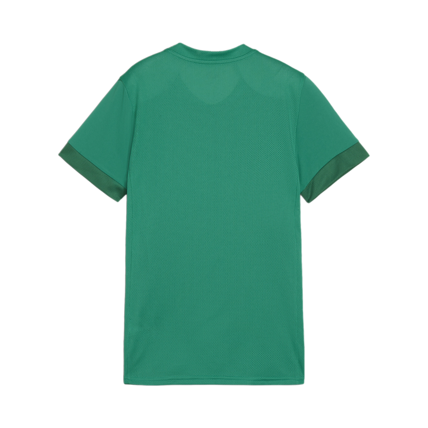 PUMA teamGOAL Matchday Trikot Damen Grün Weiss F05