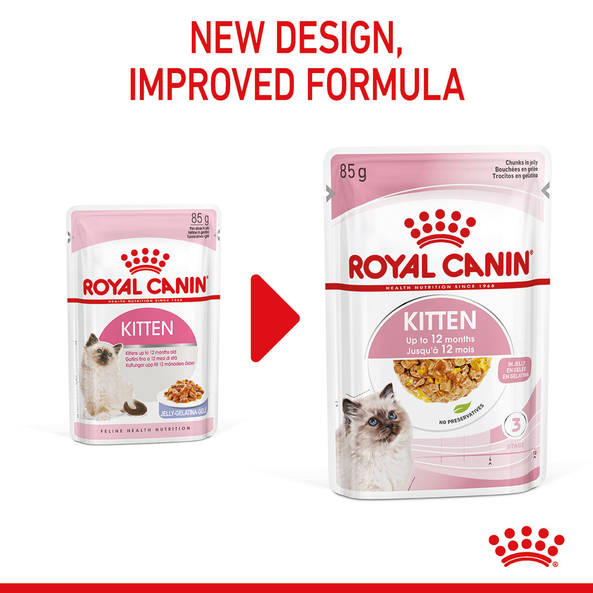 ROYAL CANIN KITTEN Nassfutter in Gelee für Kätzchen