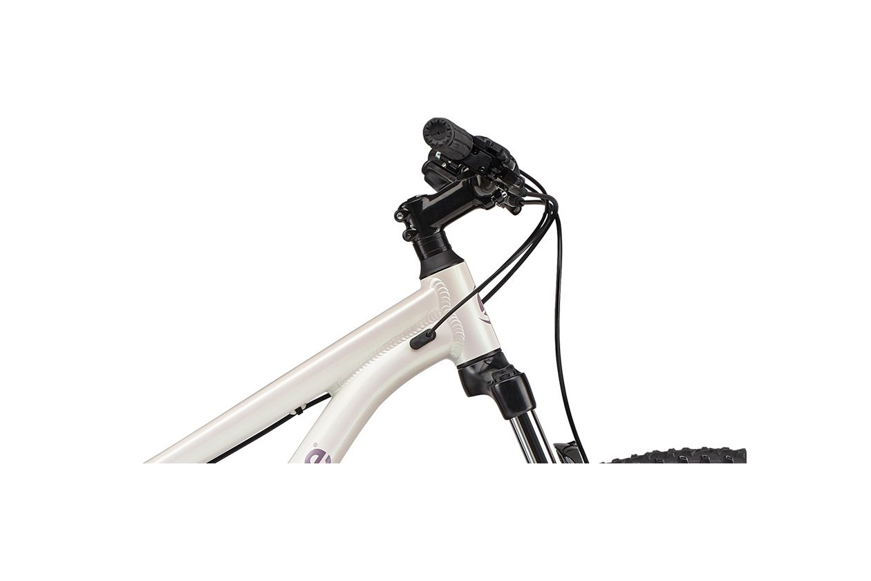 Cannondale Trail Women's 7 - 2021 - 29 Zoll - Diamant