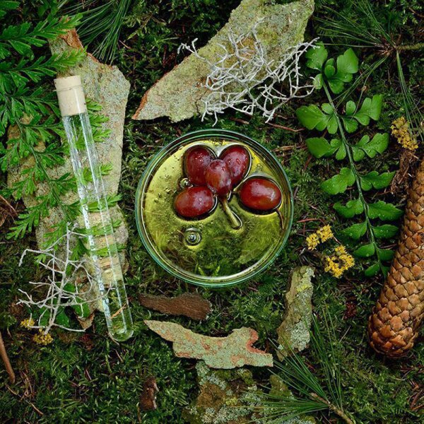 Schwarzwald Naturkosmetik Sternenklar Augencreme