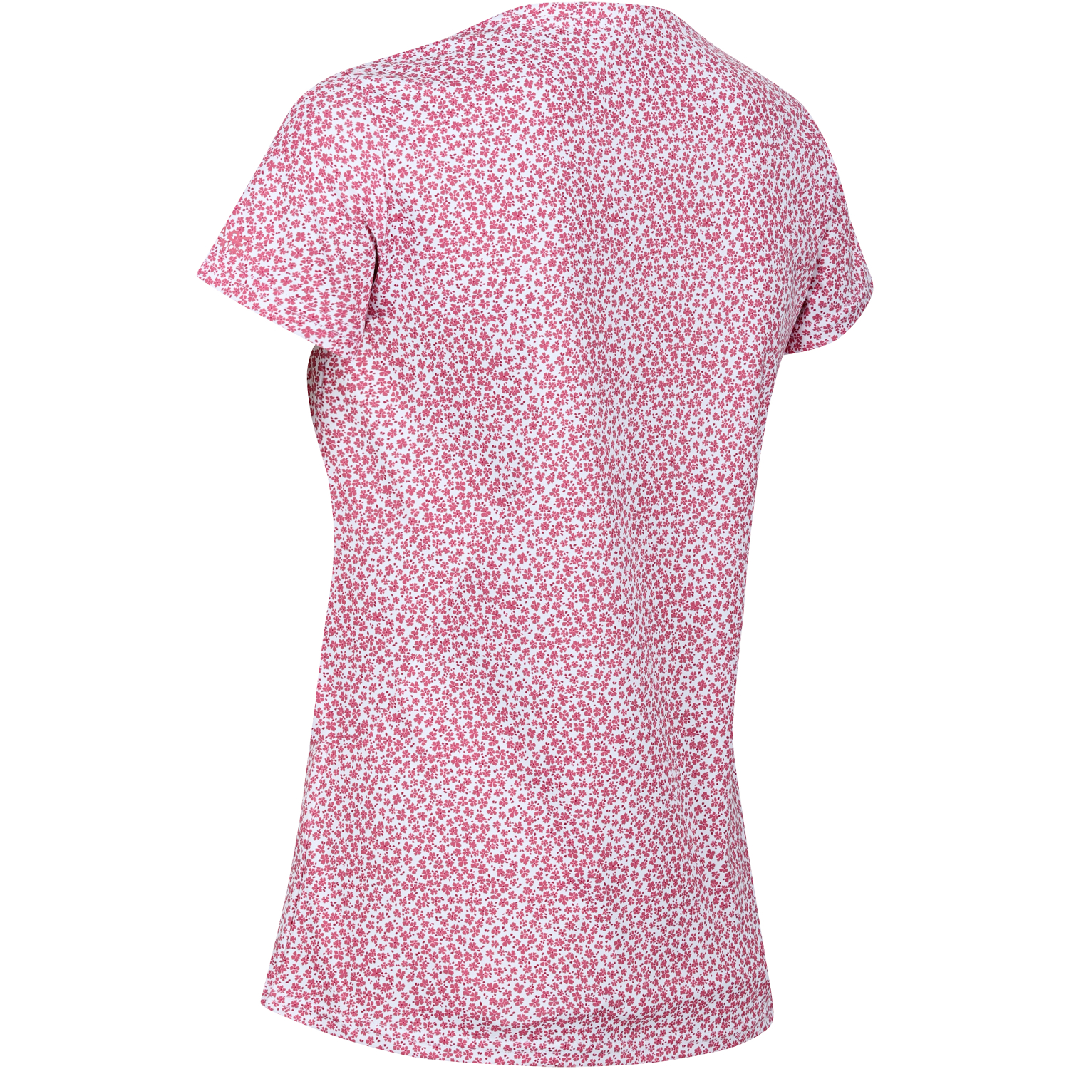 Regatta Damen T-Shirt Fingal Edition (fruit dove)