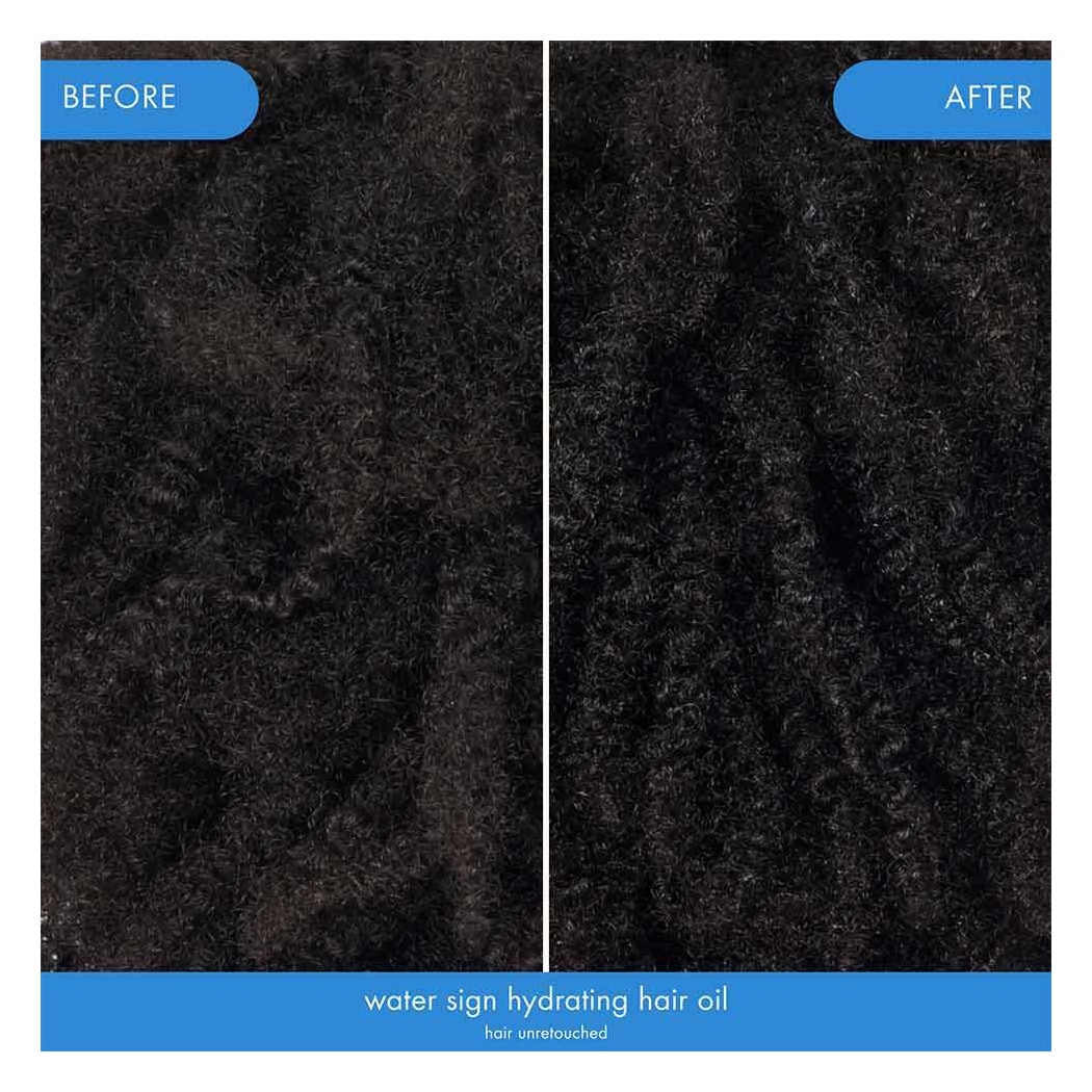 Water Sign Hydrating Hair Oil